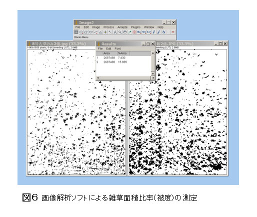図6.画像解析ソフトによる雑草面積比率(被度)の測定