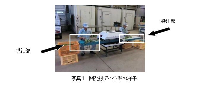 軟弱野菜調製機_002.png