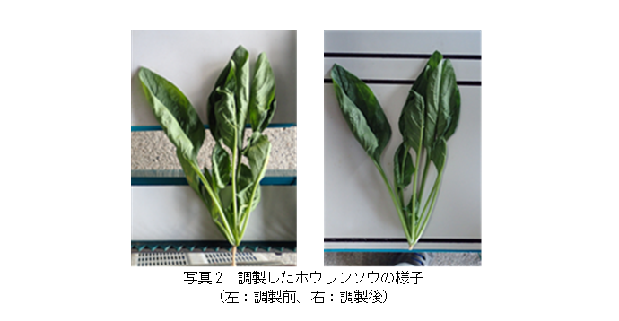 軟弱野菜調製機_004.png