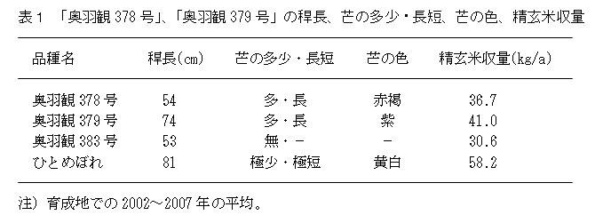 表1.「奥羽観378号」、「奥羽観379号」の稈長、芒の多少・長短、芒の色、精玄米収量