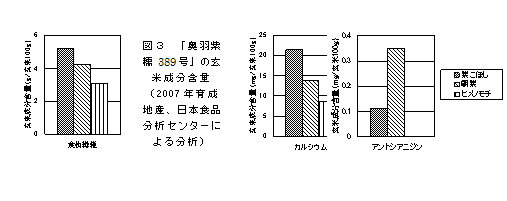 図3.「奥羽紫糯389号」の玄米成分含量(2007年育成産地、日本食品分析センターによる分析)