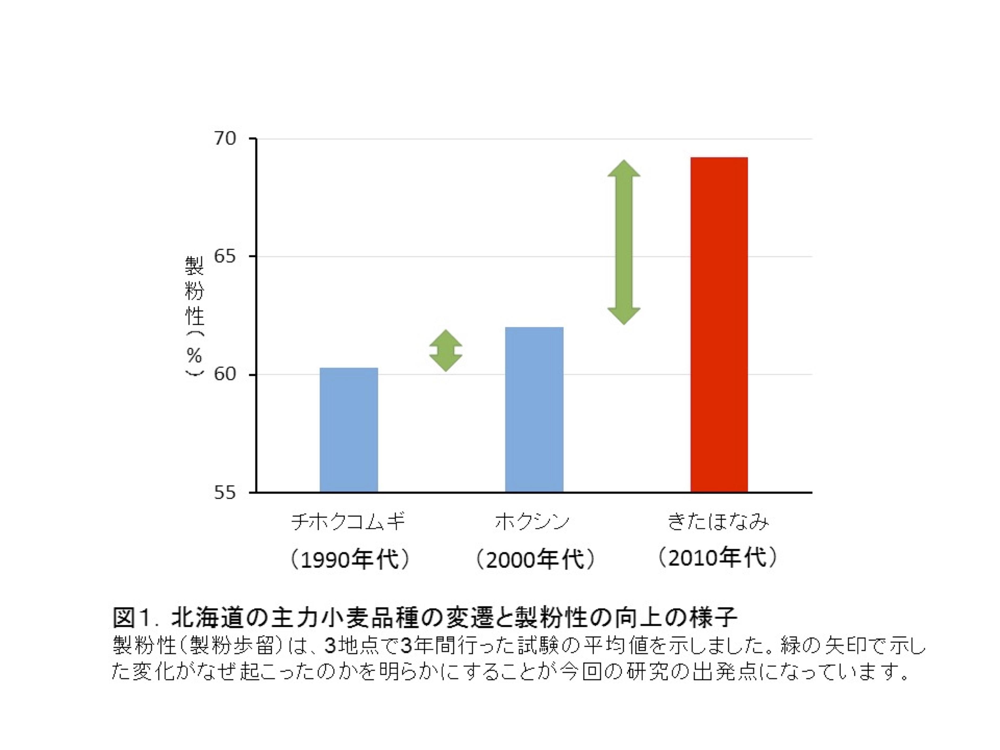 図1