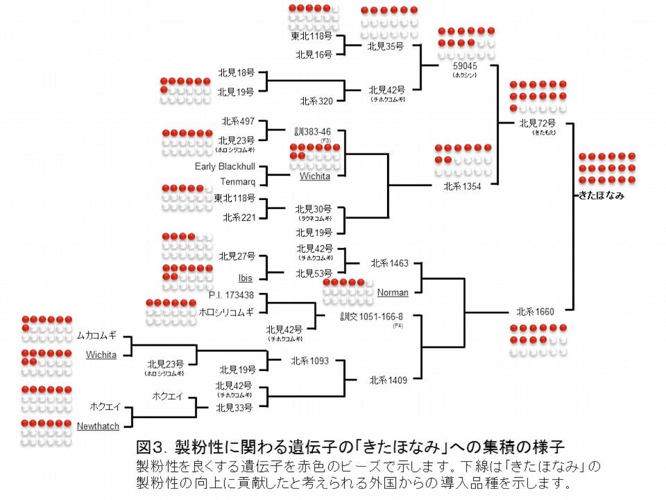 図3