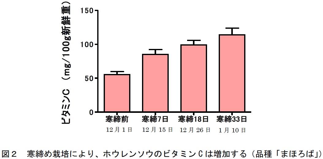 図2