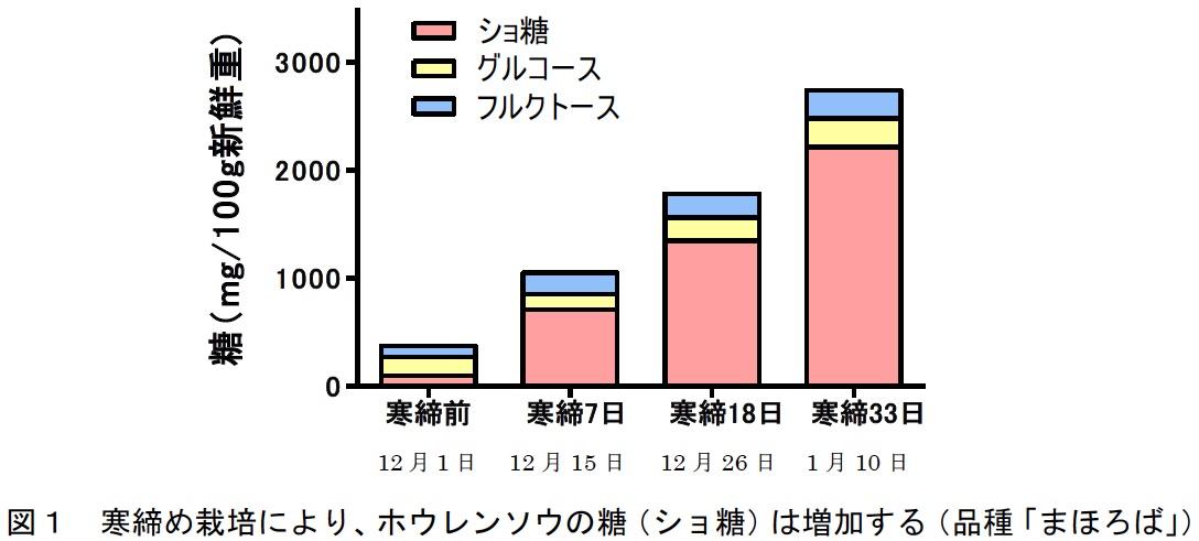 図1