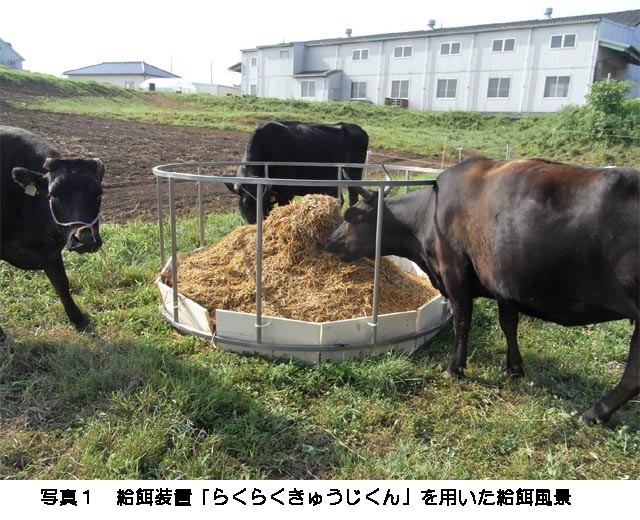 写真1給餌装置「らくらくきゅうじくん」を用いた給餌風景