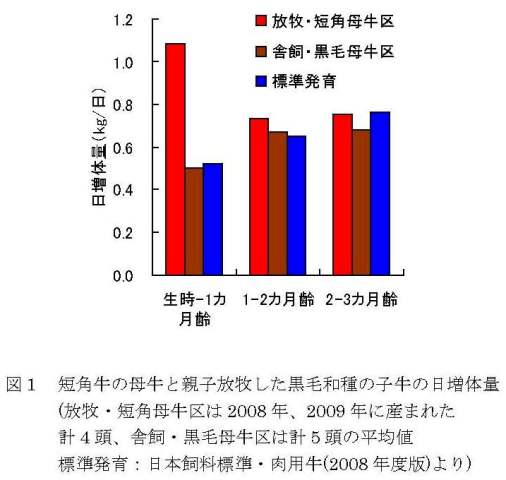 図1 短角牛の母牛と親子放牧した黒毛和種の子牛の日増体重