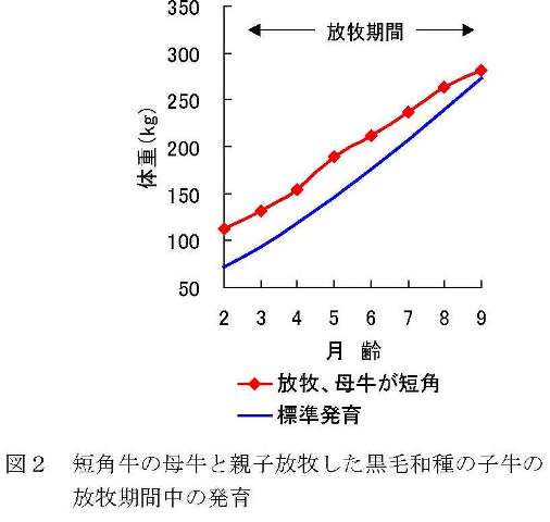 図2 短角牛の母牛と親子放牧した黒毛和種の子牛の放牧期間中の発育