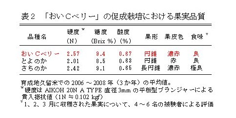 表2 「おいCベリー」の促成栽培における果実品質