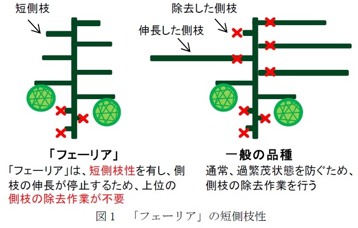 20110804_2_zu1