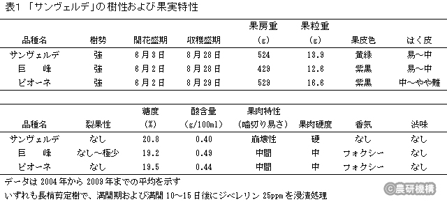 表1 「サンヴェルデ」樹性と果実特性