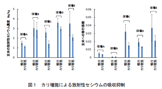 図1カリ増施による放射性セシウムの吸収抑制