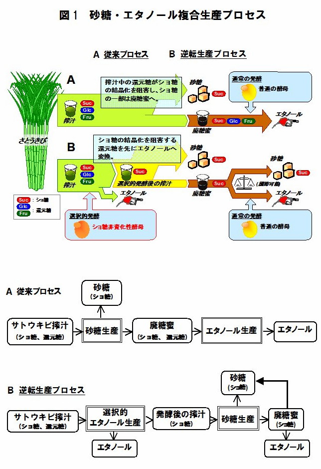 図1 砂糖・エタノール複合生産プロセス