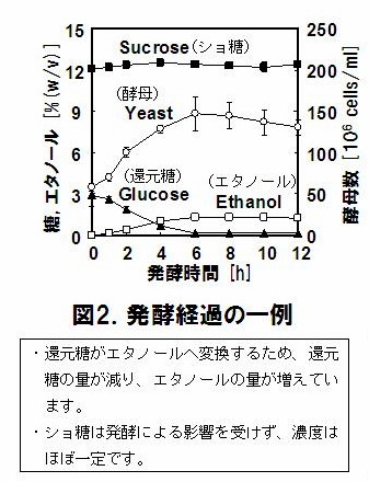 図2 発酵経過の一例