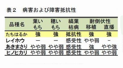 表2 病害および障害抵抗性