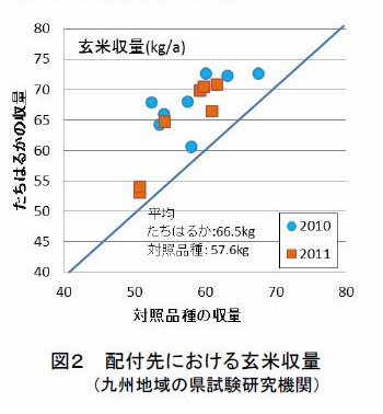 図2 配付先における玄米収量