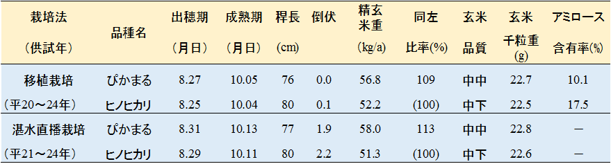 表1 「ぴかまる」の栽培特性