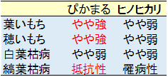 表2 「ぴかまる」の耐病性