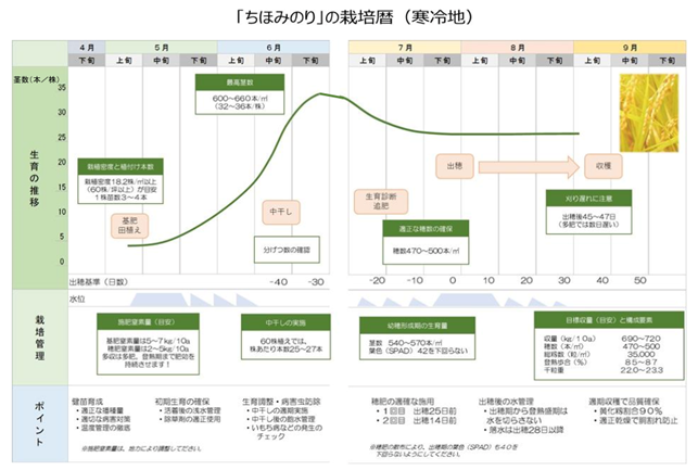 図2