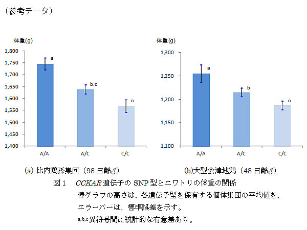 図1 CCKAR遺伝子のSNP型とニワトリの体重の関係