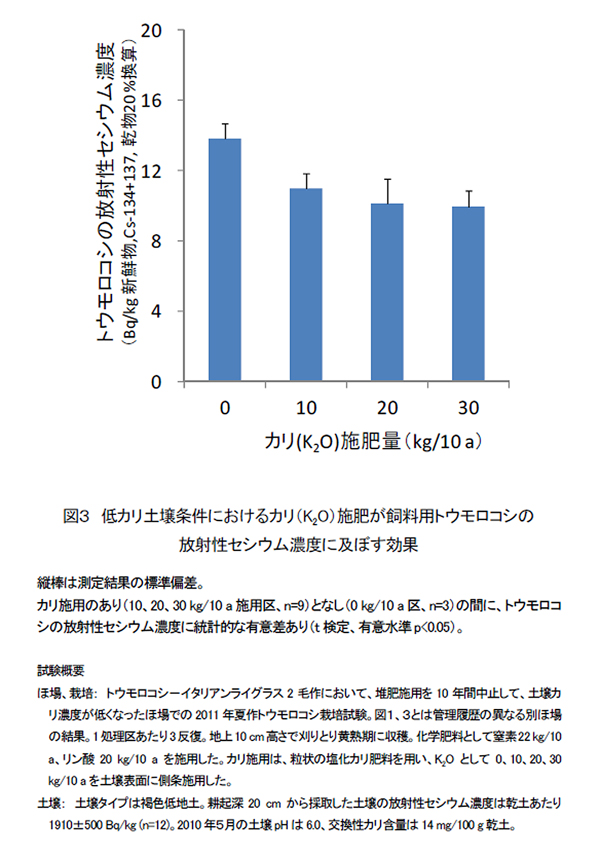 図3 低カリ土壌条件におけるカリ施肥が飼料用トウモロコシの放射性セシウム濃度に及ぼす効果