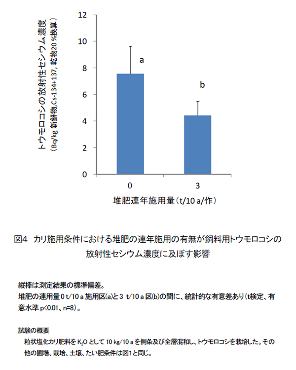 図4 カリ施用条件における堆肥の連年施用の有無が飼料用等もrこしの放射性性有無濃度に及ぼす影響