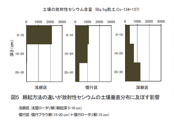 図5 耕起方法の違いが放射性セシウムの土壌垂直分布に及ぼす影響