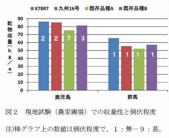 図2 現地試験(農家圃場)での収量性と倒伏程度