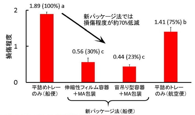 図1 新パッケージ法のイチゴ物理的損傷に対する防止効果