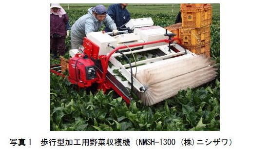 写真1 歩行型加工用野菜収穫機(NMSH-1300 (株)ニシザワ)