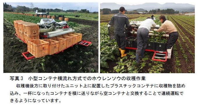 研究成果 加工 業務用ホウレンソウの機械収穫体系を構築 プレスリリース 広報