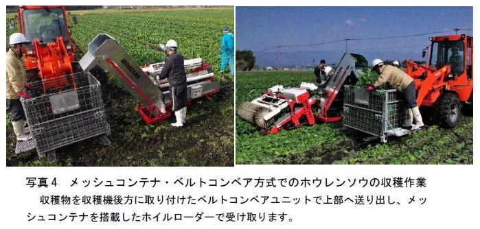 研究成果 加工 業務用ホウレンソウの機械収穫体系を構築 プレスリリース 広報