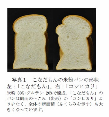 写真1 こなだもんの米粉パンの形状