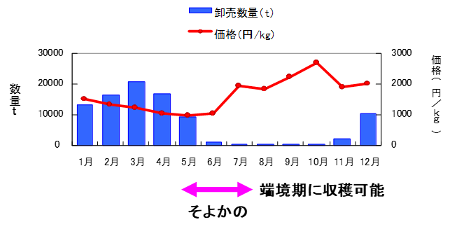 図1