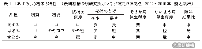 表1「あすみ」の樹体の特性(農研機構果樹研究所カンキツ研究興津拠点 2009～2010年露地栽培)