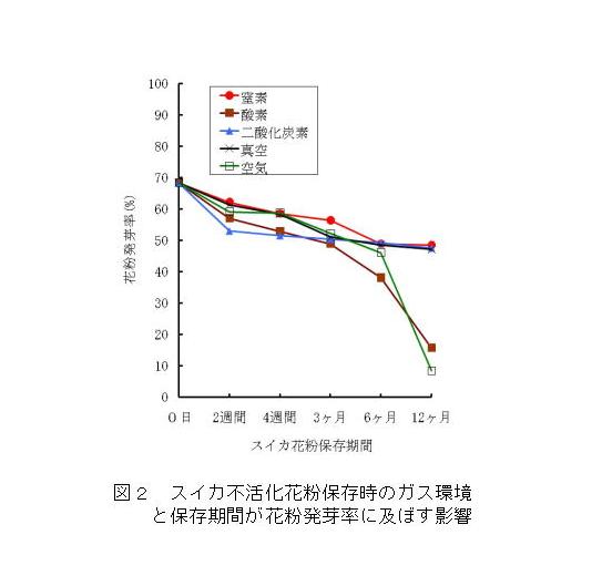 図2.スイカ不活化花粉保存時のガス環境と保存期間が花粉発芽率に及ぼす影響