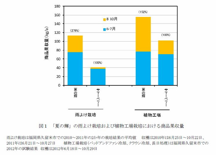 図1 「夏の輝」の雨よけ栽培および植物工場栽培における商品果収量