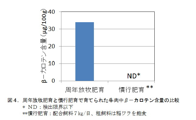 図4