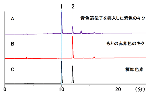 花弁に含まれるデルフィニジンを検出した一例