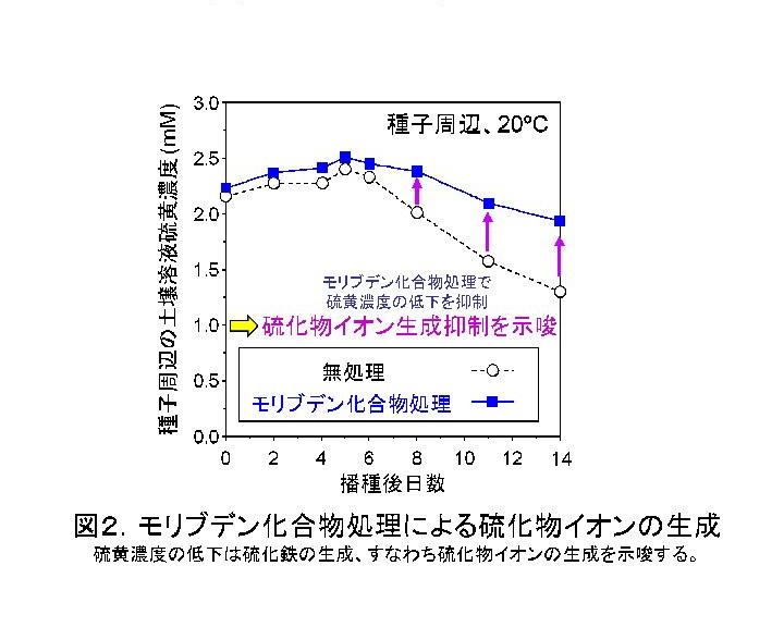 モリブデン化合物処理による硫化物イオンの生成