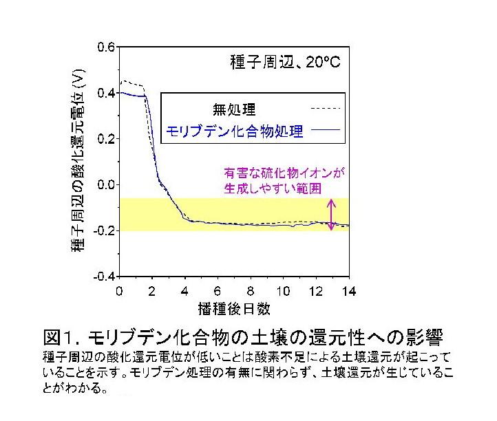 モリブデン化合物の土壌の還元生への影響