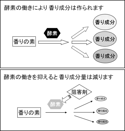 図2 香りを抑える原理