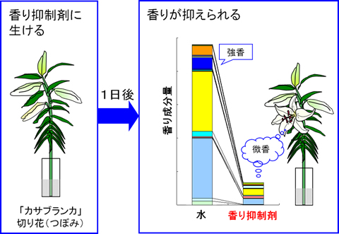 図3 香り抑制剤の処理効果