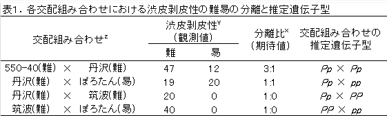 ぽろたんの推定遺伝子型