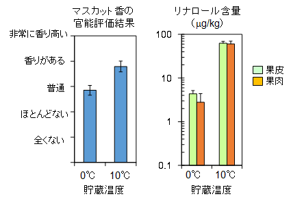 図2   0°Cまたは10°Cで4週間貯蔵した果実の官能評価結果とリナロール含量