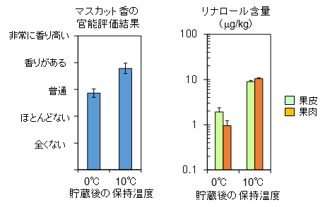 図4   0°Cで4週間貯蔵後に0°Cまたは10°Cで7日間保持した果実の官能評価結果とリナロール含量