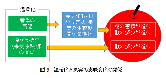 図6 温暖化と果実の食味変化の関係