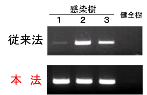 図3