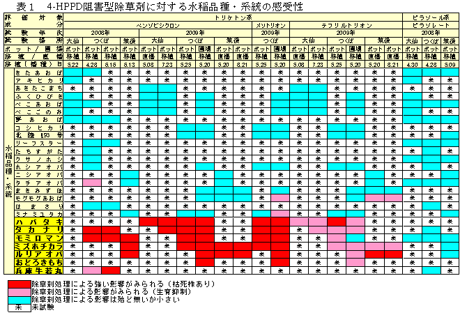 表1 4-HPPD阻害型除草剤に対する水稲品種・系統の感受性