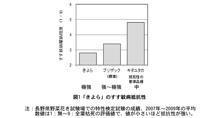 「きよら」のすす紋病抵抗性